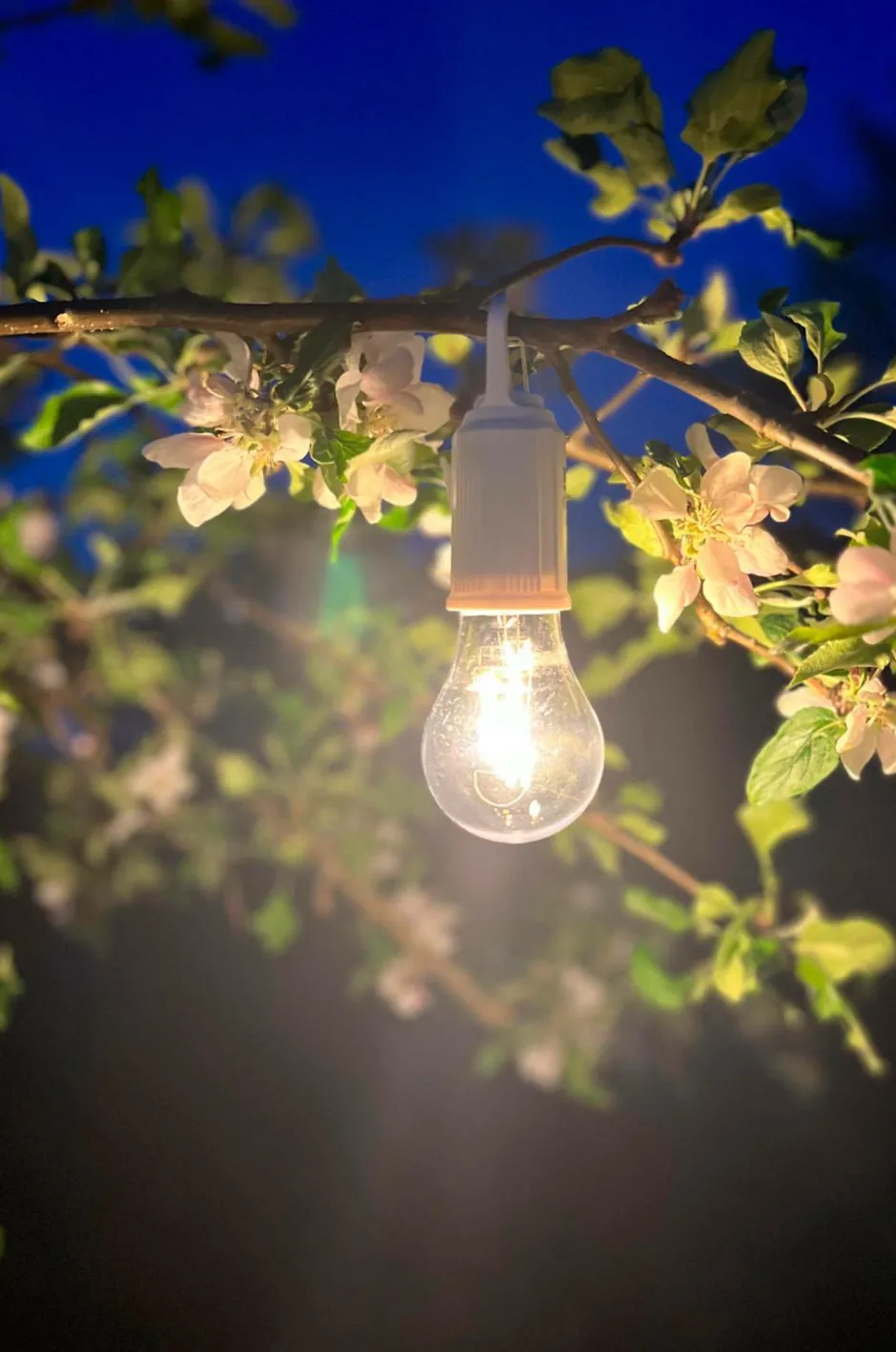PR Home Rechargeable Light Bulb^ Lyskilder