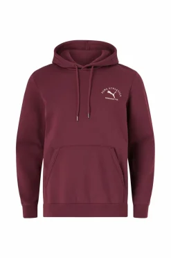 Puma Hættetrøje Class Graphic Hoodie FL^ Sweatshirts & Hoodies