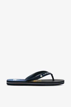 Quiksilver Flip flops Molokai Art Youth^Børn Sandaler