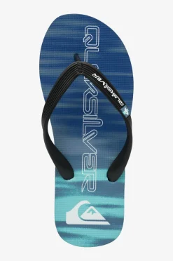 Quiksilver Flip flops Molokai Art II Youth^Børn Sandaler