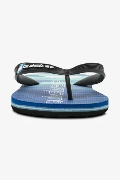 Quiksilver Flip flops Molokai Art II Youth^Børn Sandaler