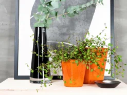 Online Glasvase Etage Vaser