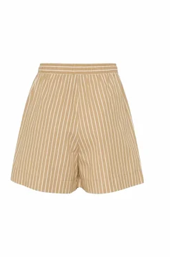 Soaked in Luxury Shorts slKaily^Dame Shorts