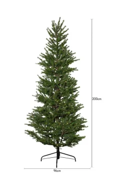 Star Trading Juletræ udendørs Malung, 200 cm^ Udendørsbelysning