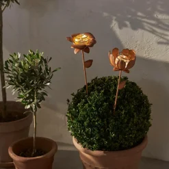 Star Trading Solcelledekoration Oxida Blomst 2-p^ Udendørsbelysning