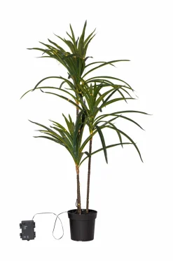 Star Trading Træ Bali 84cm^ Planter & Blomster