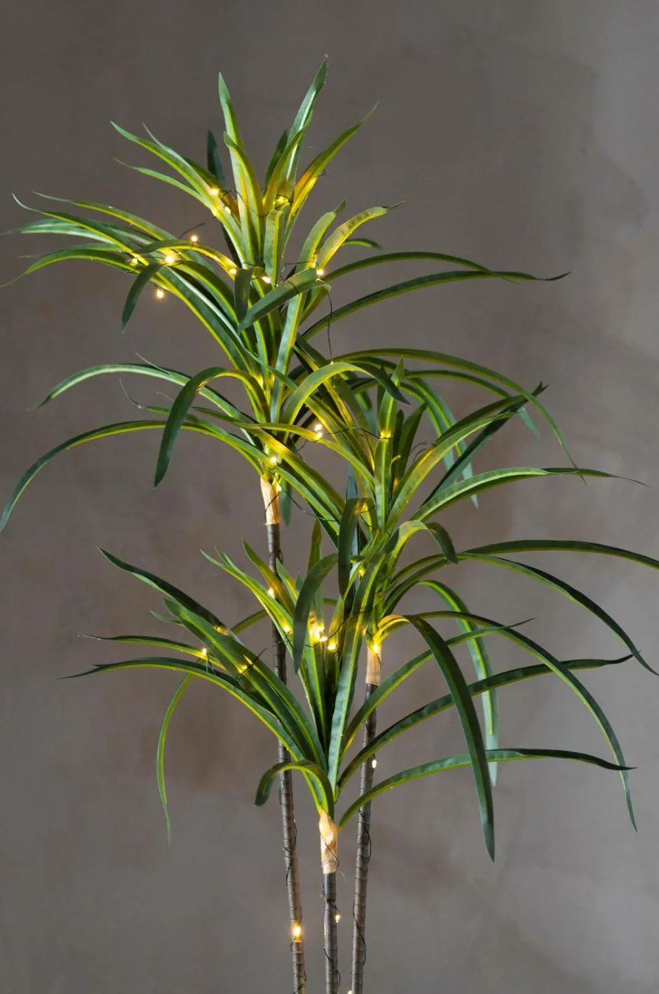 Star Trading Træ Bali 84cm^ Planter & Blomster