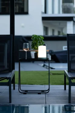 Hot Bordlampe Fern Genopladelige Lamper