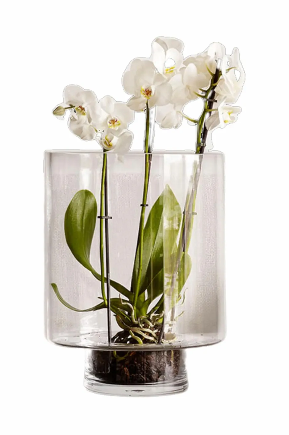 Sale Vase Optic Vaser