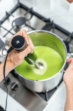 Online Stavmixer Enfinigy Små Køkkenmaskiner