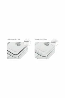 ZWILLING Vakuumbeholder Gratinfad Fresh & Save 2800 ml Glas^ Køkkenopbevaring